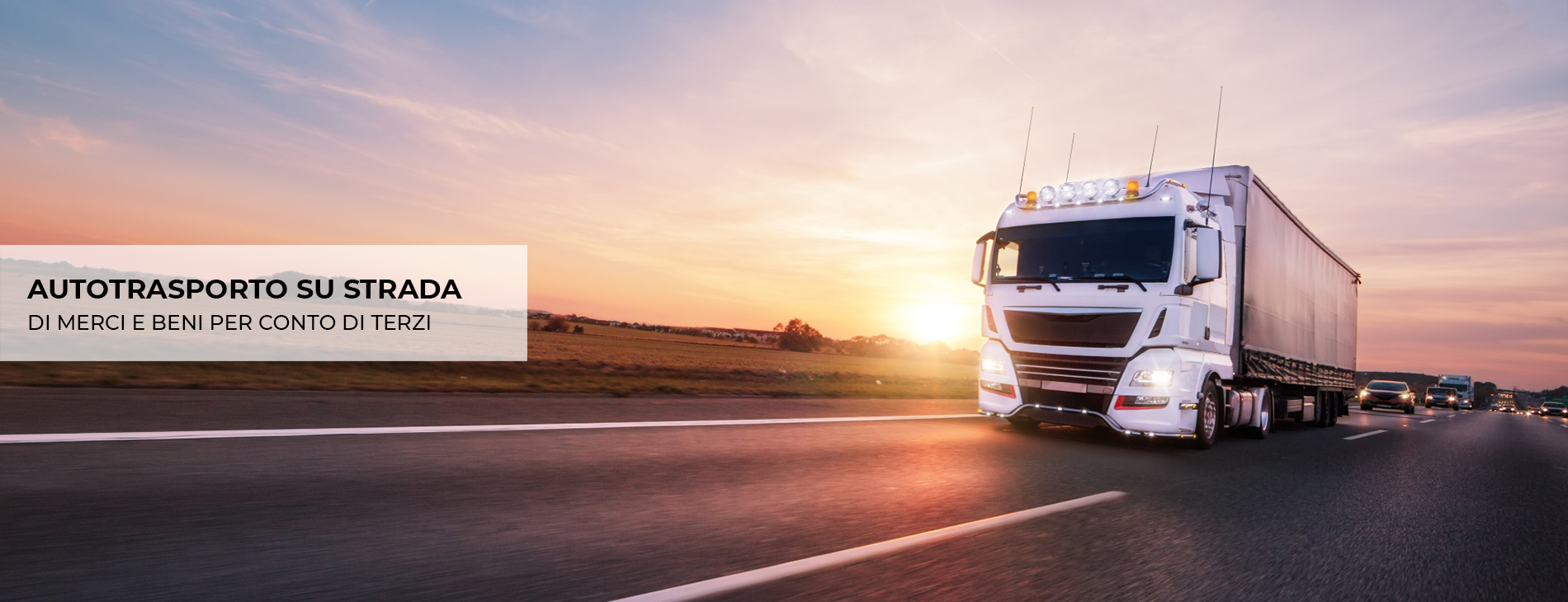 SpeedLine Express: trasporti nazionali e internazionali